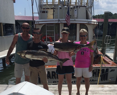 Deltaville Cobia